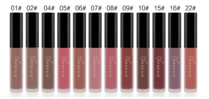 12-Color lip gloss set