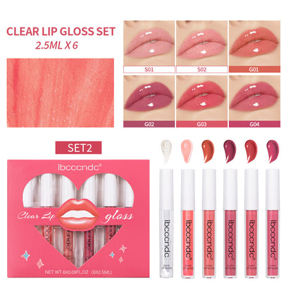 Transparent Lip Gloss Suit Liquid Lipstick