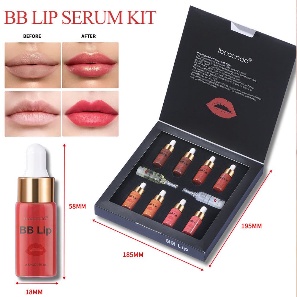 Nouveau coffret cadeau de brillant à lèvres à micro-aiguilles BB LIP